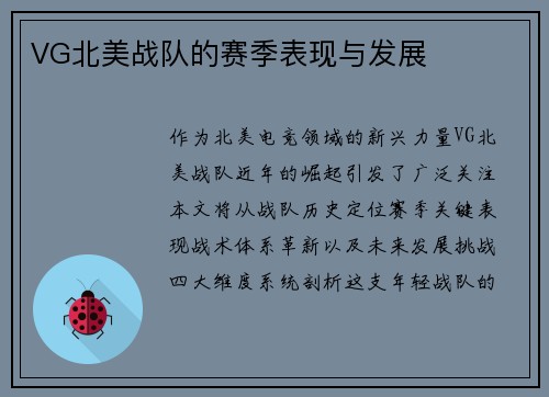 VG北美战队的赛季表现与发展